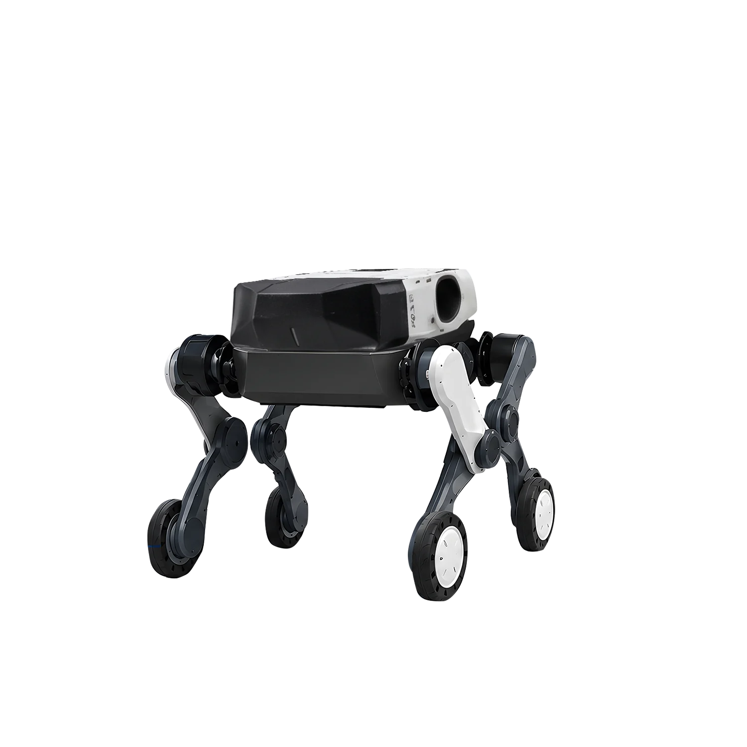 Wheel-leg robot